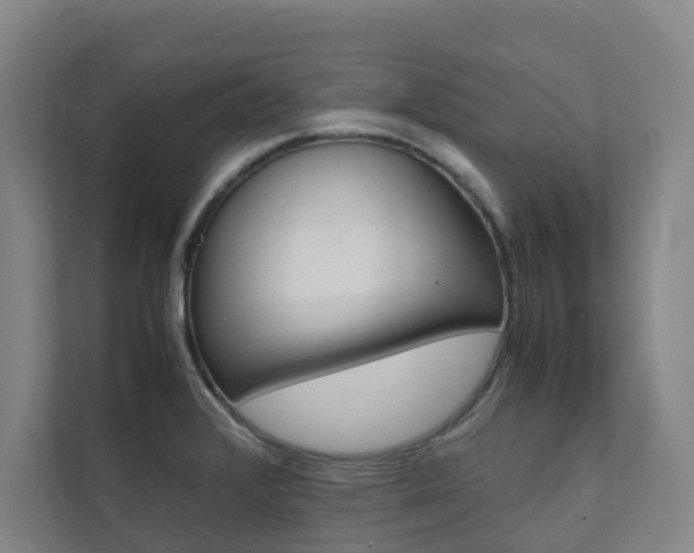 X0000112071376200908040942
