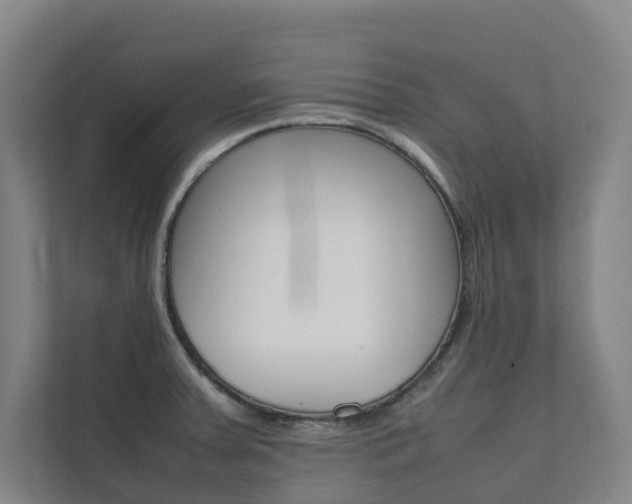 X0000112071379200908040942