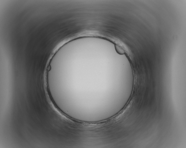 X0000112071382200908040942