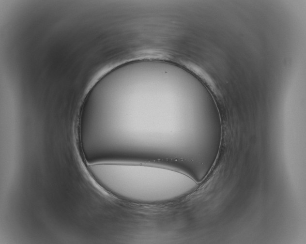 X0000112071383200908040942