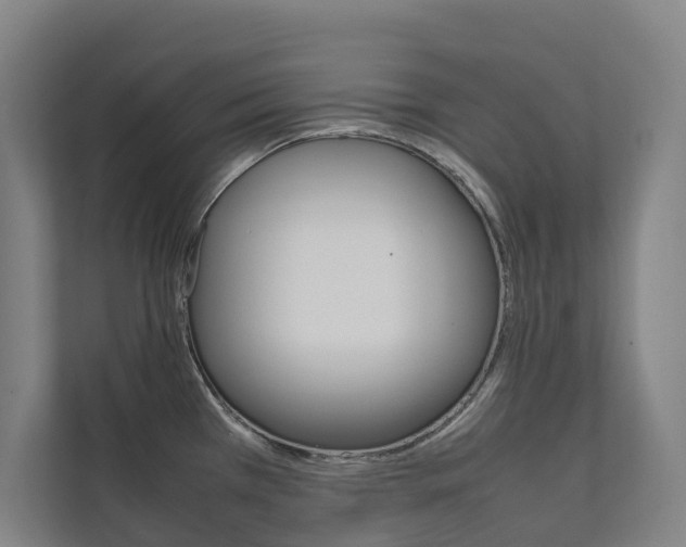 X0000112071385200908040942