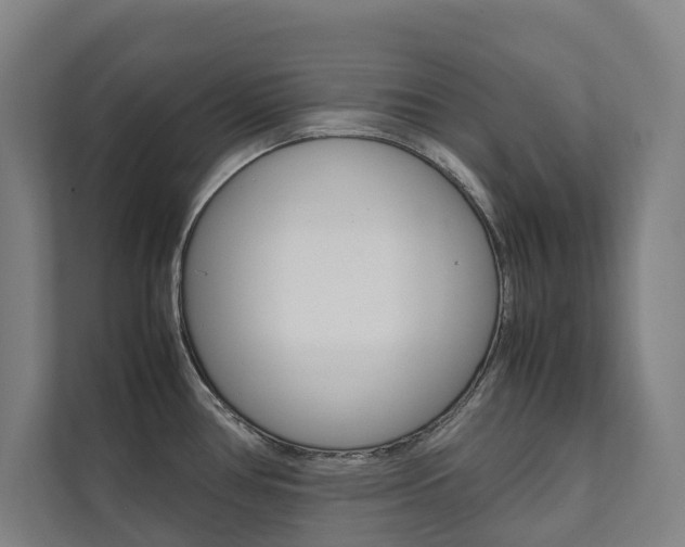 X0000112071386200908040942