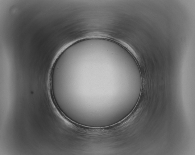 X0000112071387200908040942