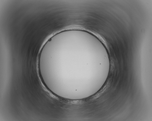 X0000112071390200908040942