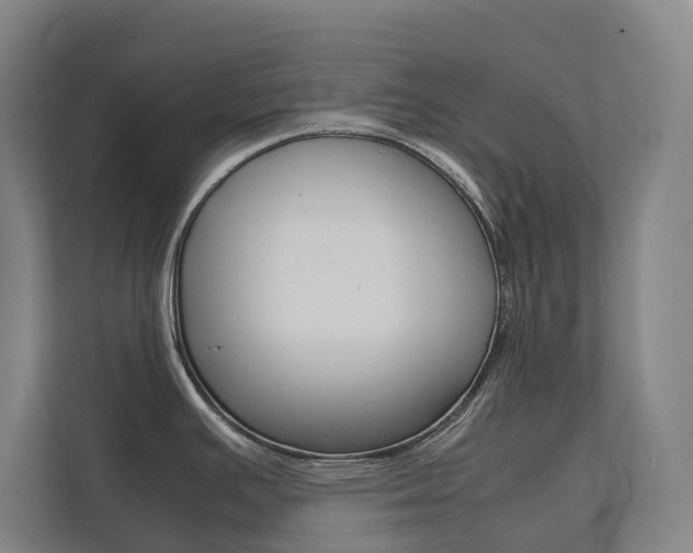 X0000112071391200908040942