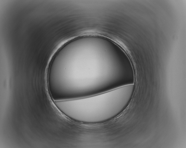 X0000112071392200908040942