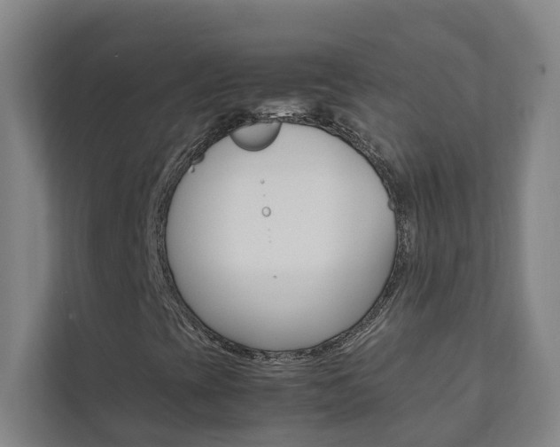 X0000112071393200908040941