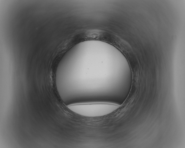X0000112071394200908040941