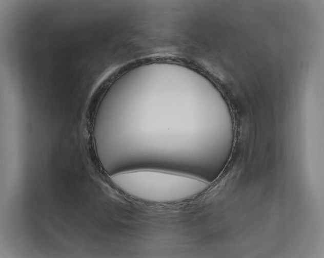 X0000112071400200908040941