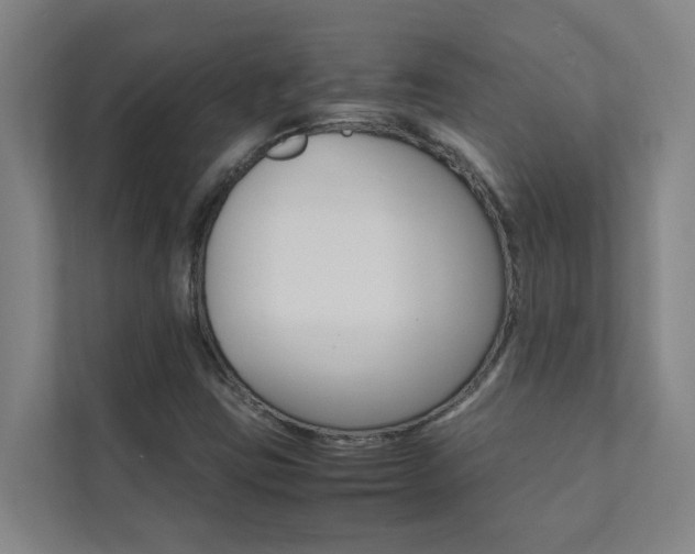 X0000112071403200908040941
