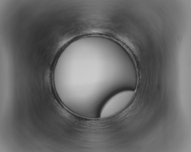 X0000112071404200908040941