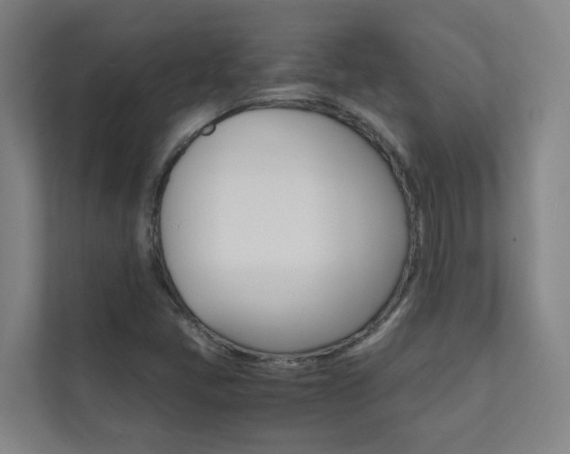 X0000112071405200908040941