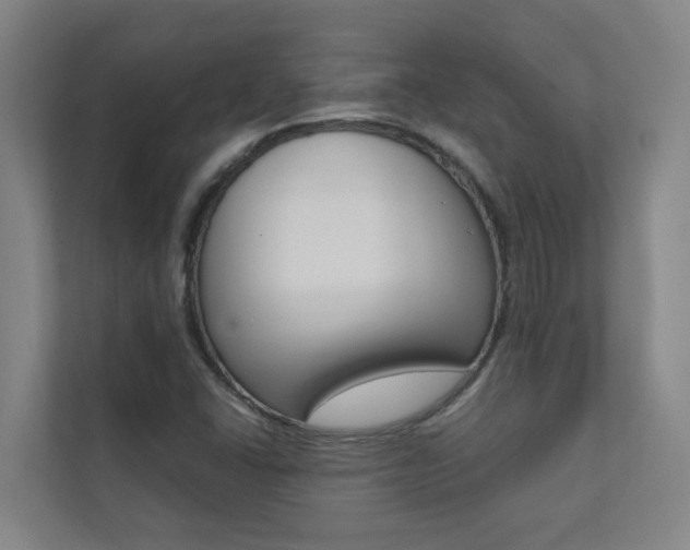 X0000112071406200908040941