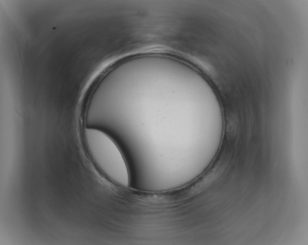 X0000112071414200908040941