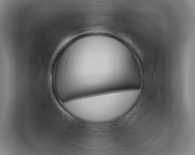 X0000112071416200908040941