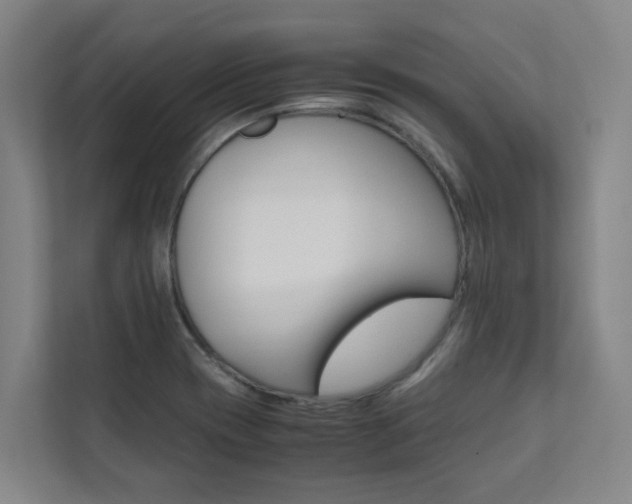 X0000112071417200908040941
