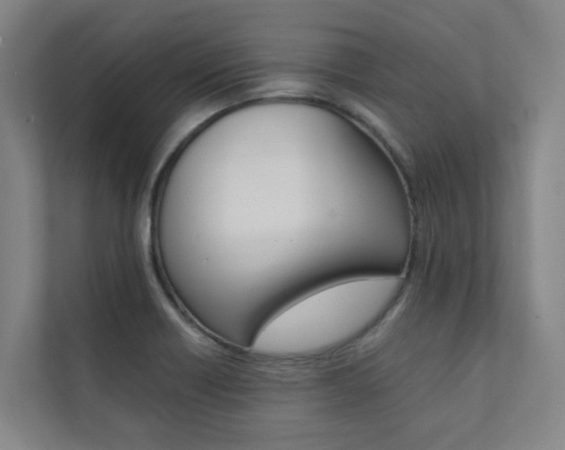 X0000112071418200908040941