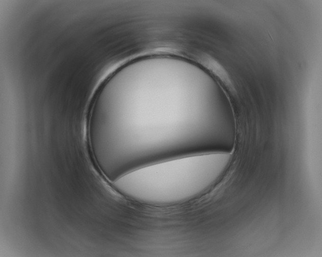 X0000112071420200908040941