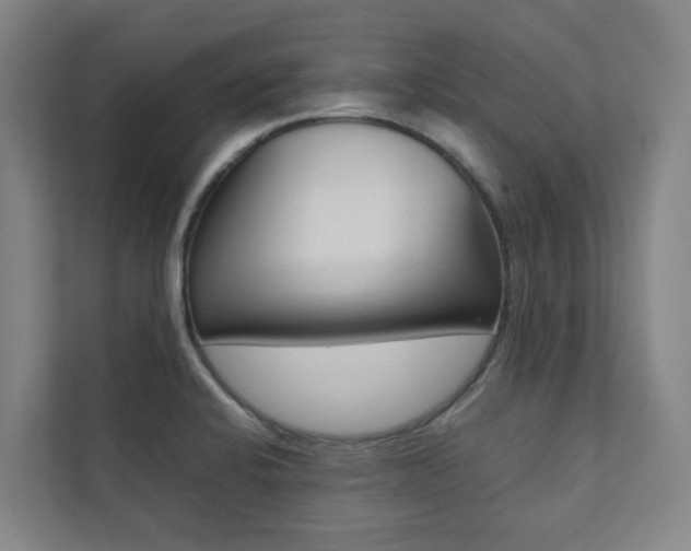 X0000112071424200908040941