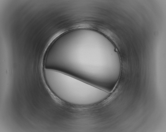 X0000112071426200908040941