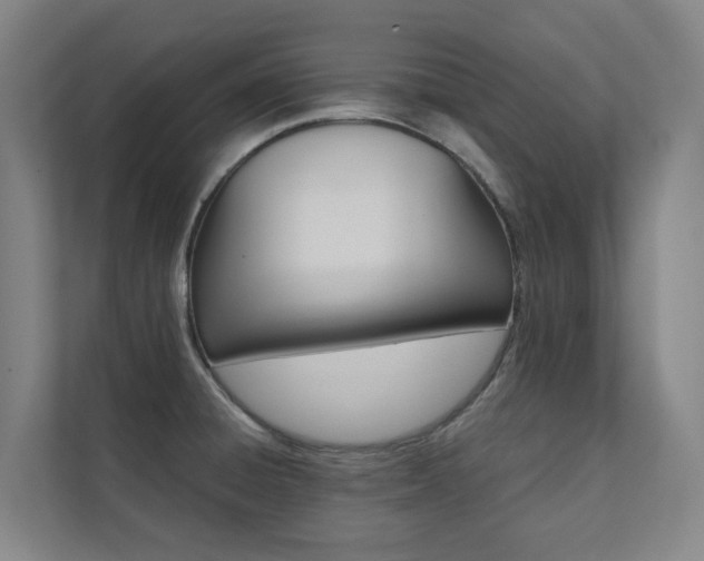X0000112071428200908040941