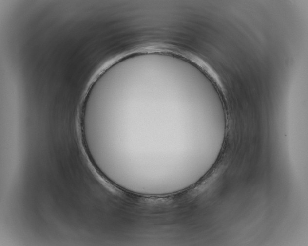 X0000112071429200908040942