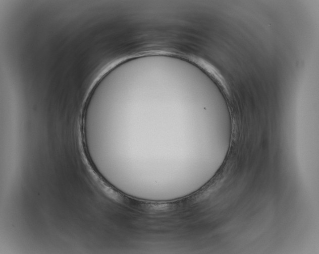 X0000112071431200908040942