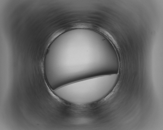 X0000112071433200908040942