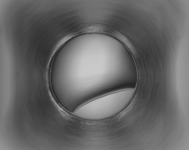 X0000112071434200908040942