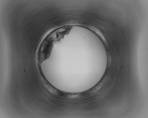 X0000112071435200908040942