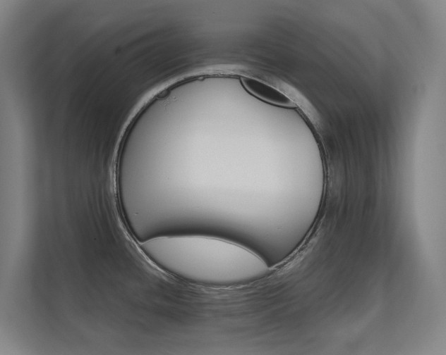 X0000112071436200908040942