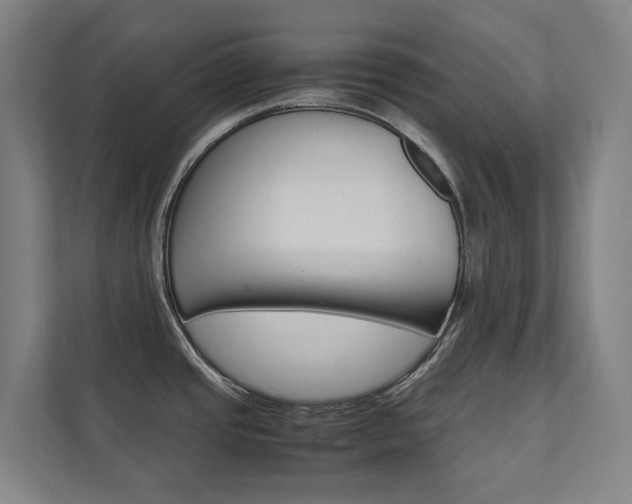 X0000112071437200908040942