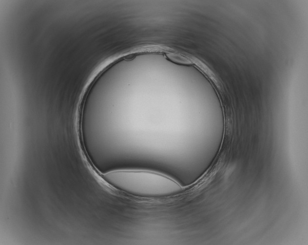 X0000112071438200908040942