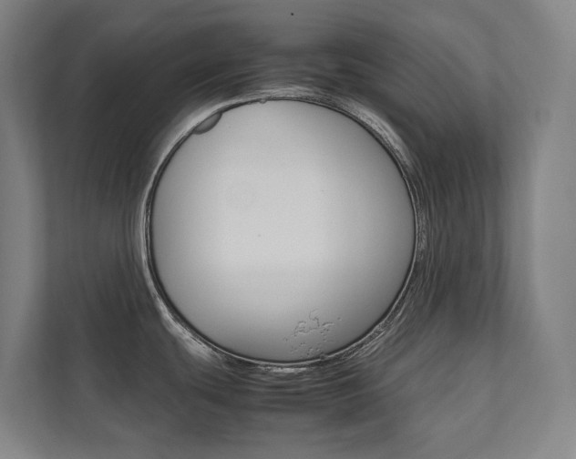 X0000112071439200908040942