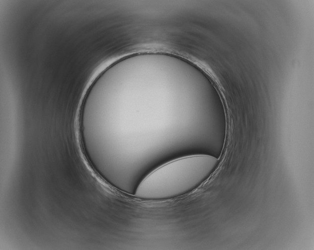 X0000112071440200908040942