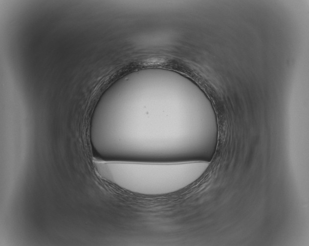 X0000112071441200908040941
