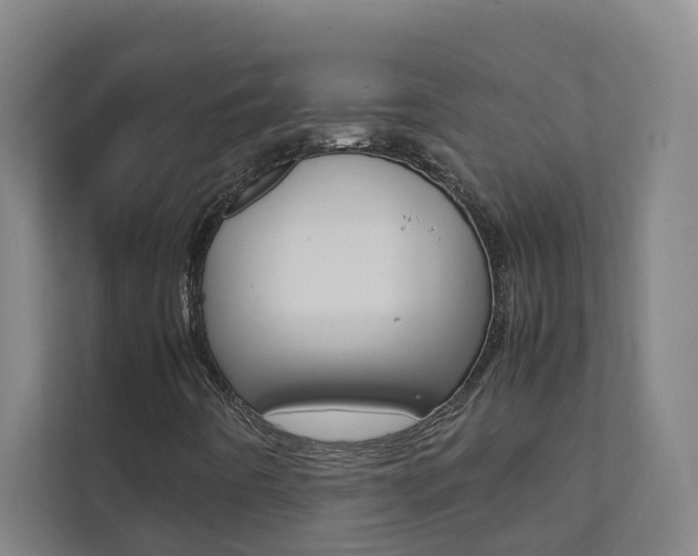 X0000112071442200908040941
