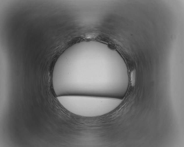 X0000112071443200908040941