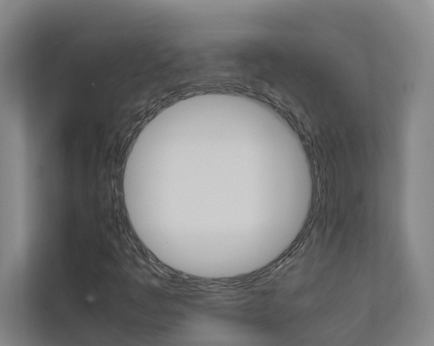 X0000112071445200908040941