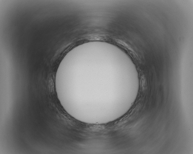 X0000112071446200908040941