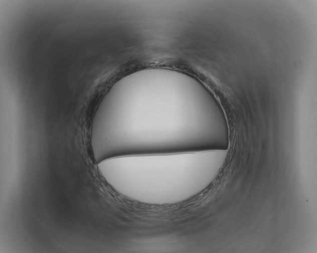 X0000112071447200908040941