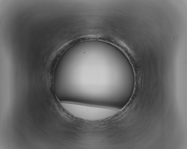 X0000112071448200908040941