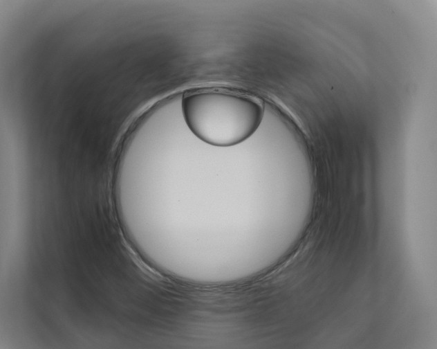 X0000112071452200908040941
