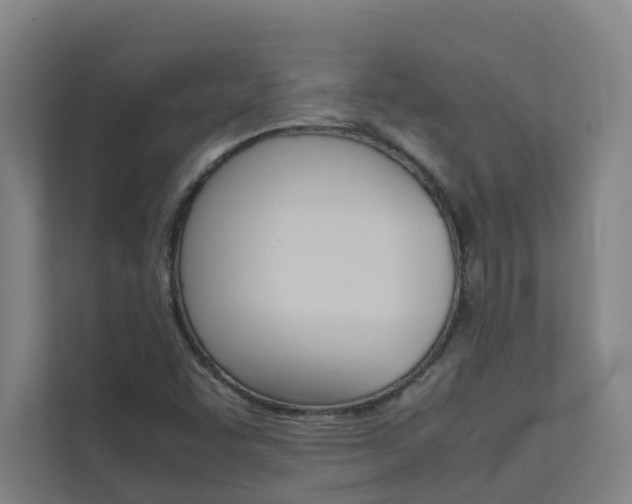 X0000112071455200908040941