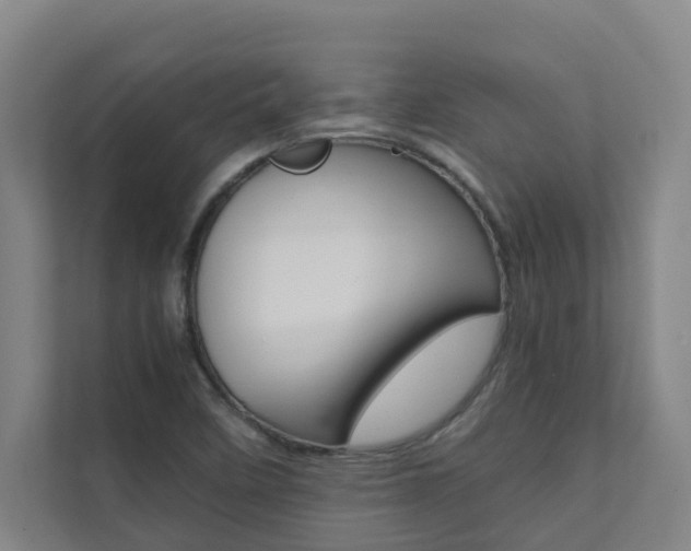 X0000112071458200908040941