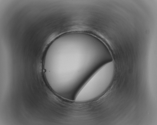 X0000112071459200908040941