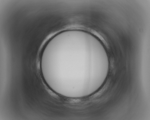 X0000112071462200908040941
