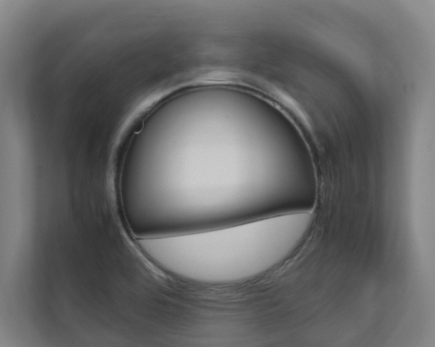 X0000112071464200908040941
