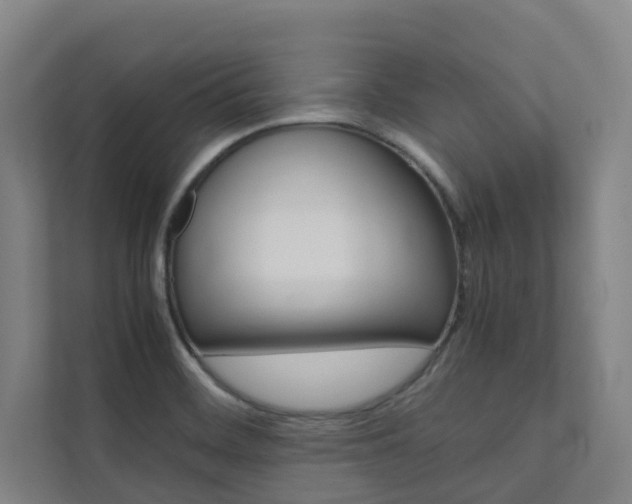 X0000112071468200908040941