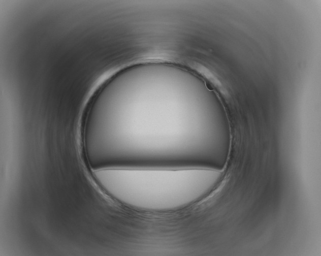 X0000112071469200908040941